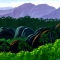 rainforest.jpg