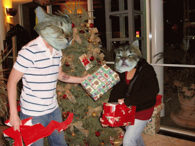 l_90146ba97bd3bfde77008acfdd6ec714.gif