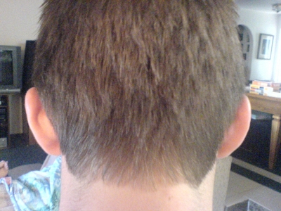The Hair