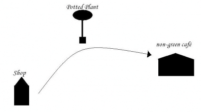 plan SFO potted plant