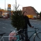 Me and tree