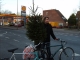 Me and tree