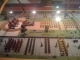 Miniatures