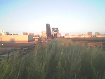 walking towards the river