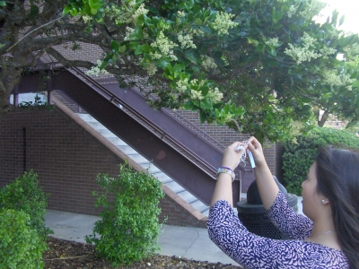 This was a pretty tree.