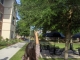 Hanging from a tree