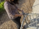 A bike rack.