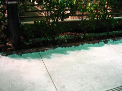 missing sign 135.jpg missing sign 135.jpg