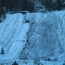 sf005831841.jpg