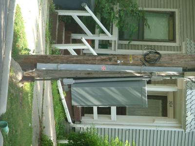 the chicken flew the coop!