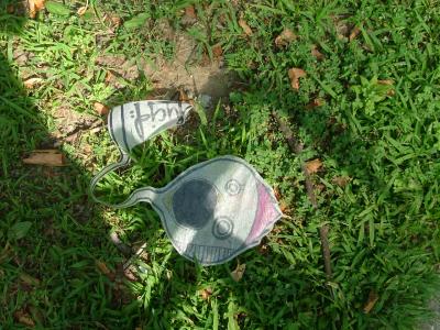 chicken caught again