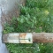 site 1