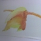 fpeng000.jpg fpeng000.jpg