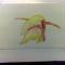fpenguin.jpg fpenguin.jpg