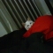 DSC00010.JPG