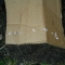 CIMG9102.JPG