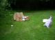 dirtpile - 07.jpg
