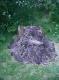dirtpile - 13.jpg