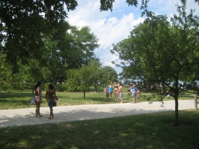 2.17 parrot crowd.JPG