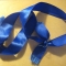 Blue Ribbons.jpg
