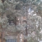 Tree1.JPG