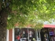 Tree5.JPG