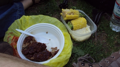 Picnic at Washington Square