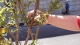 DSC00188.jpg