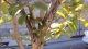 DSC00189.jpg