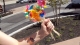 Pinwheels!