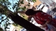 DSC00196.jpg