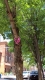 DSC00240.jpg