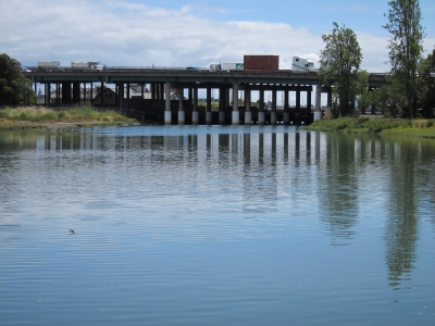 Estuary Park View Toward Bay