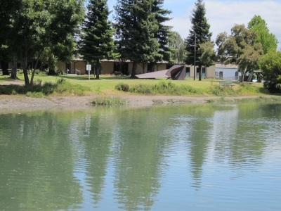 Poorly Attended Public Art