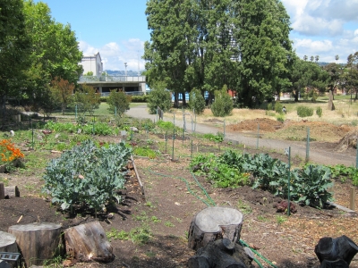 Laney College's Secret Garden