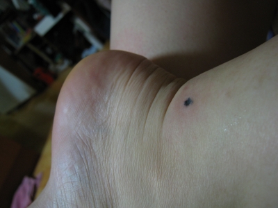 Mostly finished/Pig foot
