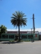 Charming Old Timey Liquor Store