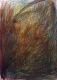 Coloured pencil hour.jpg