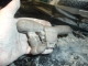 engine.JPG