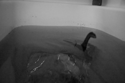 Nessy sinking...