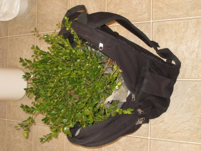 All packed and ready for adventure!