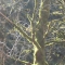 IMG_2660.JPG