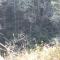 IMG_2674.JPG