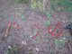 IMG_2264_hint.png