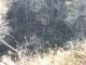 IMG_2674.JPG