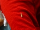 Caterpillar Caterpillar