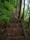 Long Staircase
