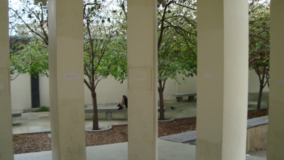 Fortune not cookie 476.JPG