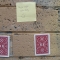 DSC01107.JPG