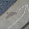 DSC02124.JPG